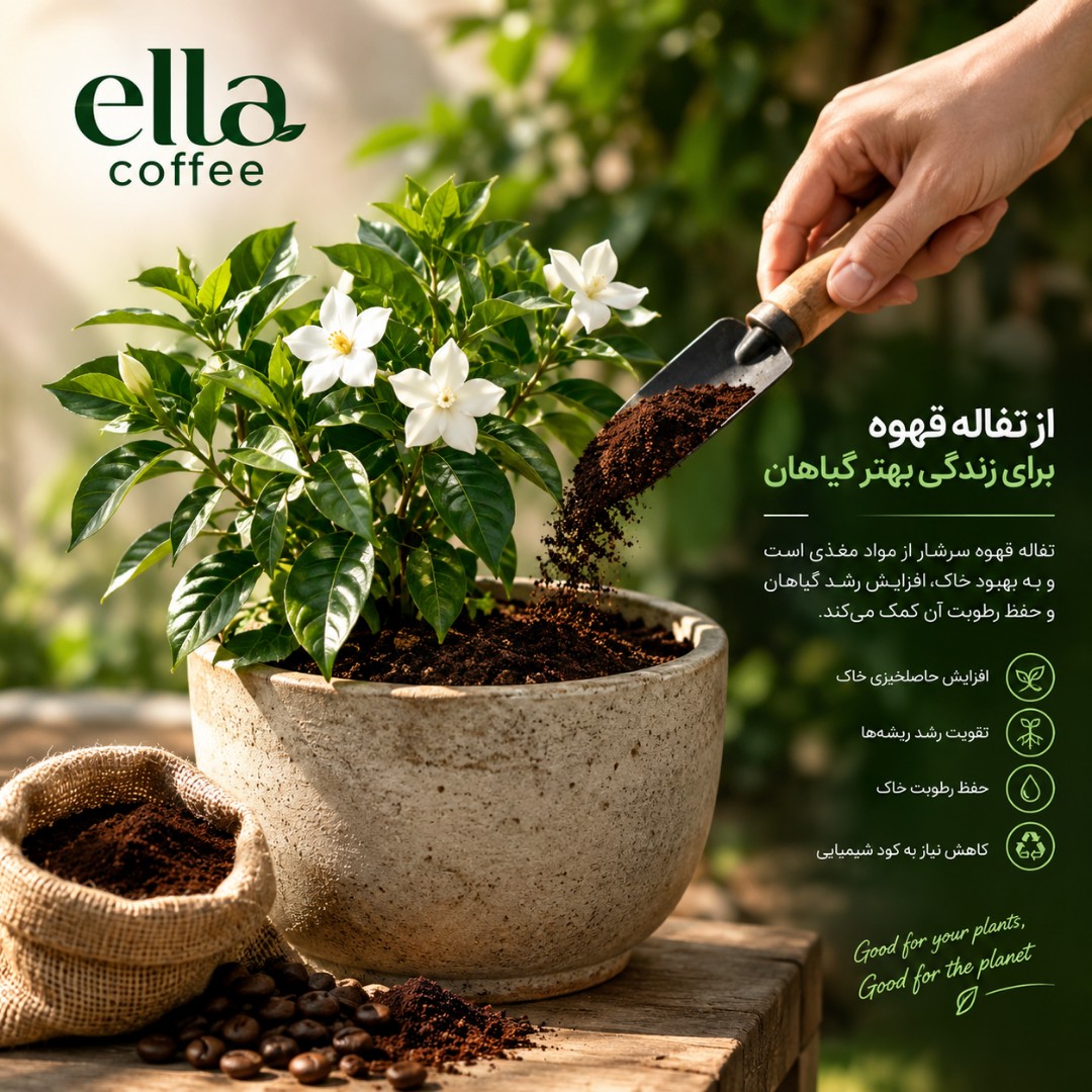 تفاله قهوه جایگزین کود شیمیایی گیاهان گلدانی